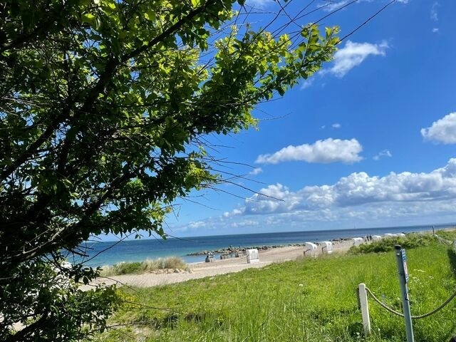 Ferienwohnung in Brodersby - Strand Ferien, Ostsee Urlaub, Ferienwohnung am Strand in Schlei Nähe , Umgebung von Kappeln u. Damp - Bild 15