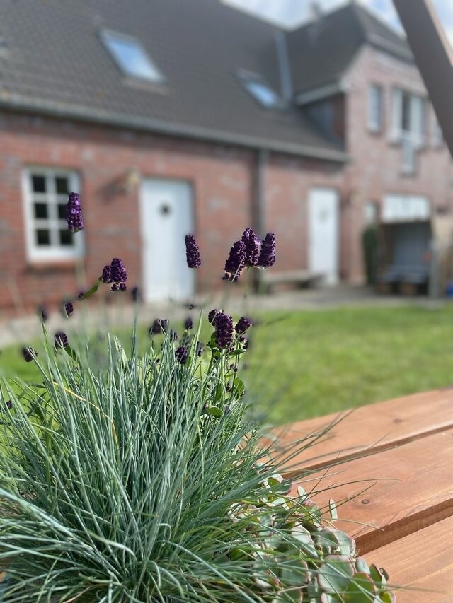 Ferienwohnung in Fehmarn OT Wulfen - Luise von der Wiese - Bild 23