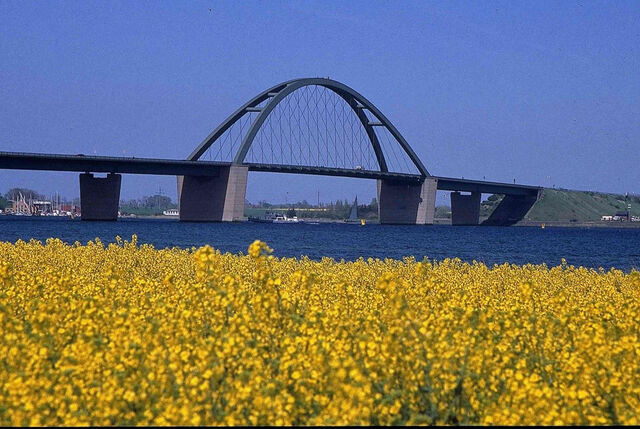 Ferienwohnung in Großenbrode - Möwennest 9 - Großenbrode - Bild 12