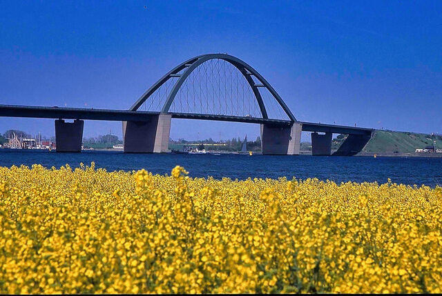 Ferienwohnung in Gro&szlig;enbrode - M&ouml;wennest 11 - Gro&szlig;enbrode - Bild 18