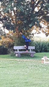 Ferienwohnung in Fuhlendorf - Boddenzauber - Bild 16