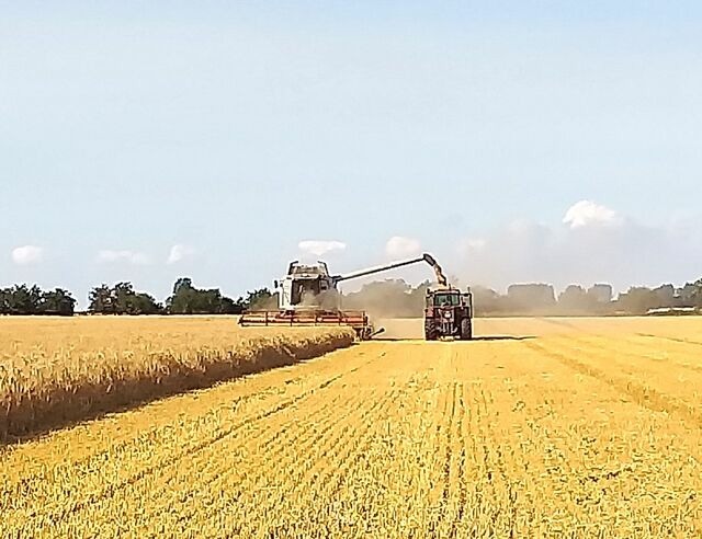 Ferienwohnung in Fehmarn OT Neujellingsdorf - Bauernhof H&ouml;per-Rauert - Reihenhaus 1 - Bild 20