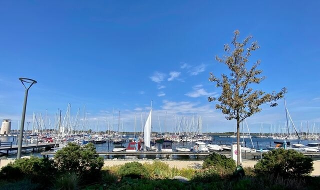 Ferienwohnung in Fehmarn - Hausboot Fehmarn - Bild 23