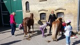 Ferienwohnung in Fehmarn OT Staberdorf - Tenne 1, inkl. 1 Parkplatz - Bild 14