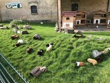 Ferienwohnung in Fehmarn OT Staberdorf - Tenne 1, inkl. 1 Parkplatz - Bild 22