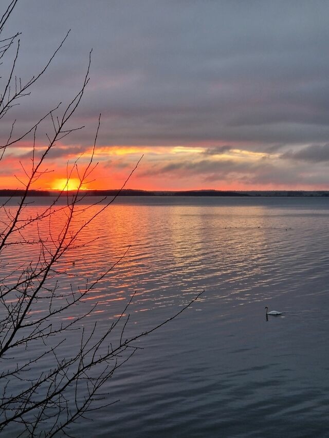 Ferienhaus in L&uuml;tow - Ferienhaus K&ouml;hler Am Achterwasser , Urlaub mit Hund - Bild 23