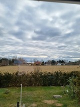 Ferienwohnung in Lütow - Ferienhaus Köhler Am Walde , Urlaub mit Hund - Bild 11