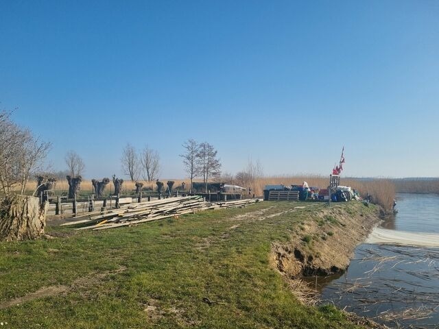Ferienwohnung in Lütow - Ferienhaus Köhler Am Walde , Urlaub mit Hund - Bild 15