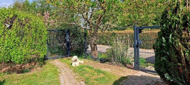 Ferienwohnung in Rövershagen - FEWO Sonne - Bild 19