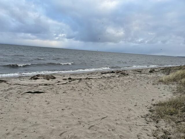 Ferienwohnung in Gahlkow - Strandperle 1 - Bild 7