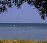 Ferienwohnung in Stralsund - Morgensonne - Bild 14