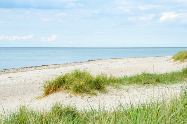 Ferienwohnung in Noer - Nordlichtferienwohnungnoer - Bild 12