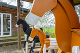 Ferienwohnung in Waabs - Ostseegarten Langholz - Ferienwohnung Adlerhorst (bis 6 Pers) - Bild 19