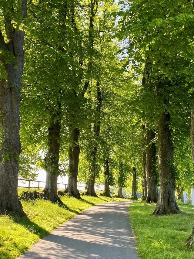 Ferienwohnung in Rieseby - Gut Büchenau - Ferienwohnung Romantika - Bild 16