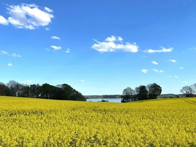 Ferienwohnung in Wagersrott - Zirkuswagen auf dem Lämmerhof - Bild 22