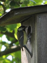Ferienhaus in Brodersby - Landhaus Schleiblick - Bild 25