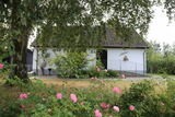 Ferienhaus in Rabenkirchen-Faul&uuml;ck - Ottos Ferienh&auml;user "Gruppenhaus Schlei" - Bild 1