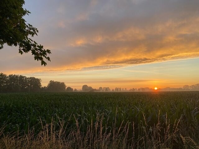 Doppelzimmer in Börgerende-Rethwisch - Hus un Köken - 3 - Bild 7