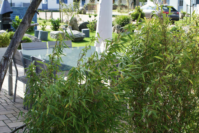 Ferienhaus in Glowe - Traum Reethaus am Meer mit Pool, Sauna & Yoga - Bild 7