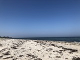 Ferienhaus in Fehmarn OT Gammendorf - Feriendomizil SeeSand 2 - Gammendorfer Strand