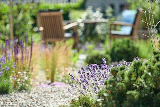 Ferienwohnung in Waabs - Elsas Enkel - Ferienwohnung Lotte - Bild 8