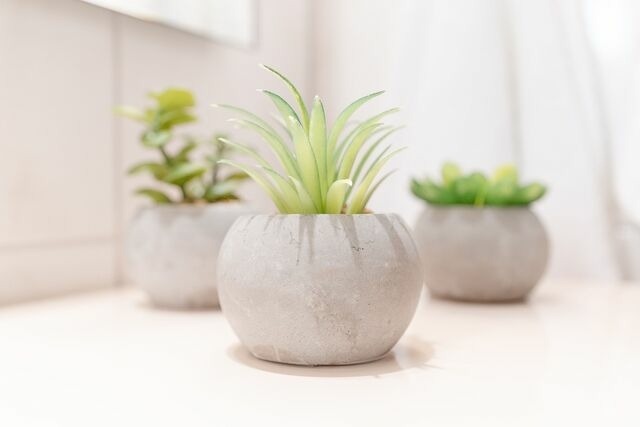 Ferienwohnung in Bosau - Haus Schwanensee Studio 15 - Bild 17