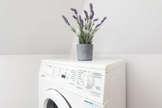 Ferienwohnung in Heikendorf - Dock 53 - Bild 22