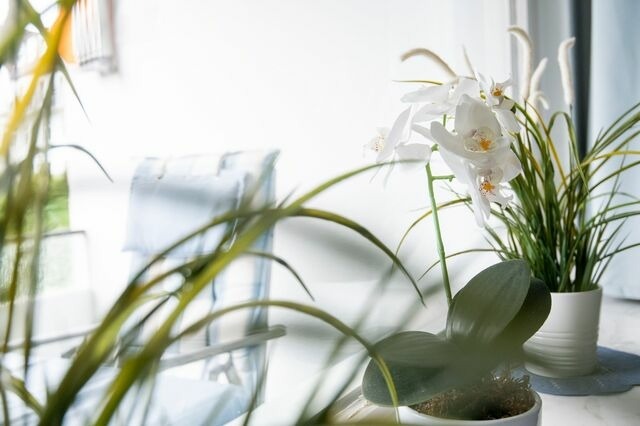 Ferienwohnung in Gr&ouml;mitz - Strandschloss Wohnung 29 - Bild 10