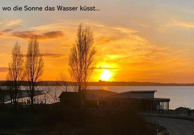 Ferienwohnung in Wendtorf - Küstenschwalbe - Bild 16