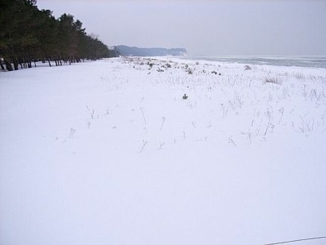 Ferienhaus in Baabe - D&uuml;nenblick 73a - Baabe - Bild 20