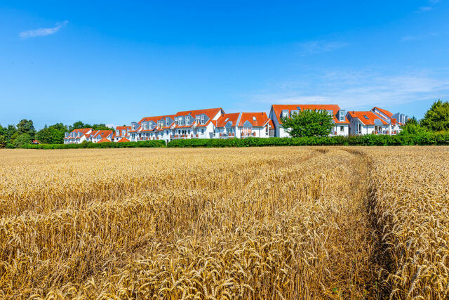 Ferienwohnung in Boltenhagen - S&uuml;nnslag Wohnung 147 "Hygge" - Bild 11