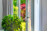 Ferienwohnung in Boltenhagen - Unterm Dachl&auml;ufer EG - Bild 4