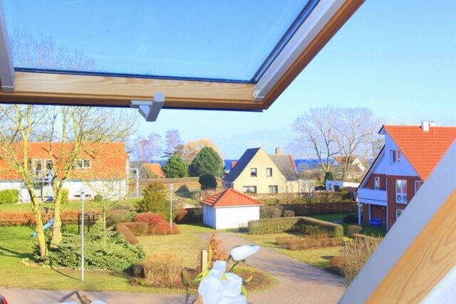 Ferienwohnung in Boltenhagen - Haus am Haftbruch Whg. 08 - Bild 3