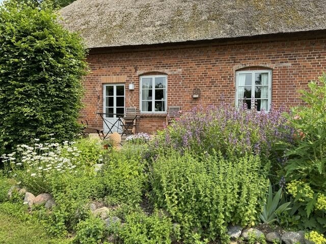 Ferienwohnung in Bad Kleinen - Kutscherremise Gut Niendorf - ABC592 - nur Ferieng&auml;ste! - Bild 24