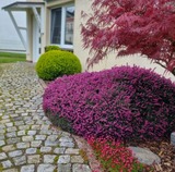 Ferienwohnung in Bad Kleinen - Feriengl&uuml;ck am See - ABC288 - nur Ferieng&auml;ste! - Bild 16