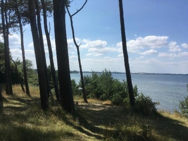 Ferienhaus in Hohen Wieschendorf - Strandhaus Fiete - Haus Walfisch - ABC330 - Bild 23