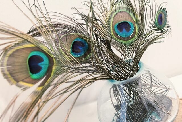 Ferienwohnung in Sellin - Villa Wiederkehr Einkehr - Bild 7