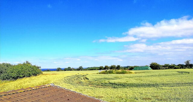 Ferienwohnung in Hohen Wieschendorf - Ferienwohnung 1 - Zur Schwedenschanze - ABC561 - Nur Ferieng&auml;ste! - Bild 5