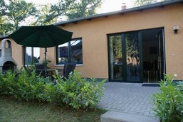 M&ouml;we am Strand - ABC58