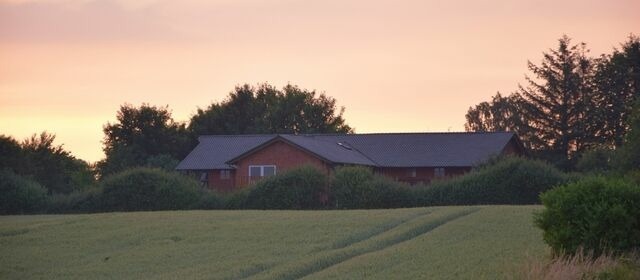Ferienwohnung in Schaalby - Schaalby Hof "Utkiek" - Bild 12