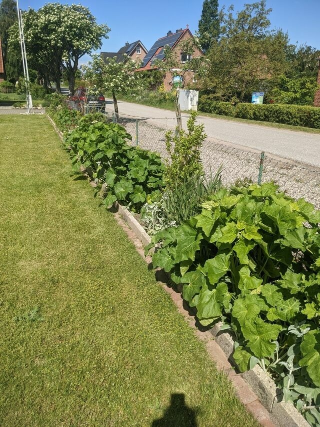 Ferienhaus in Fehmarn - Sundbude - Bild 20