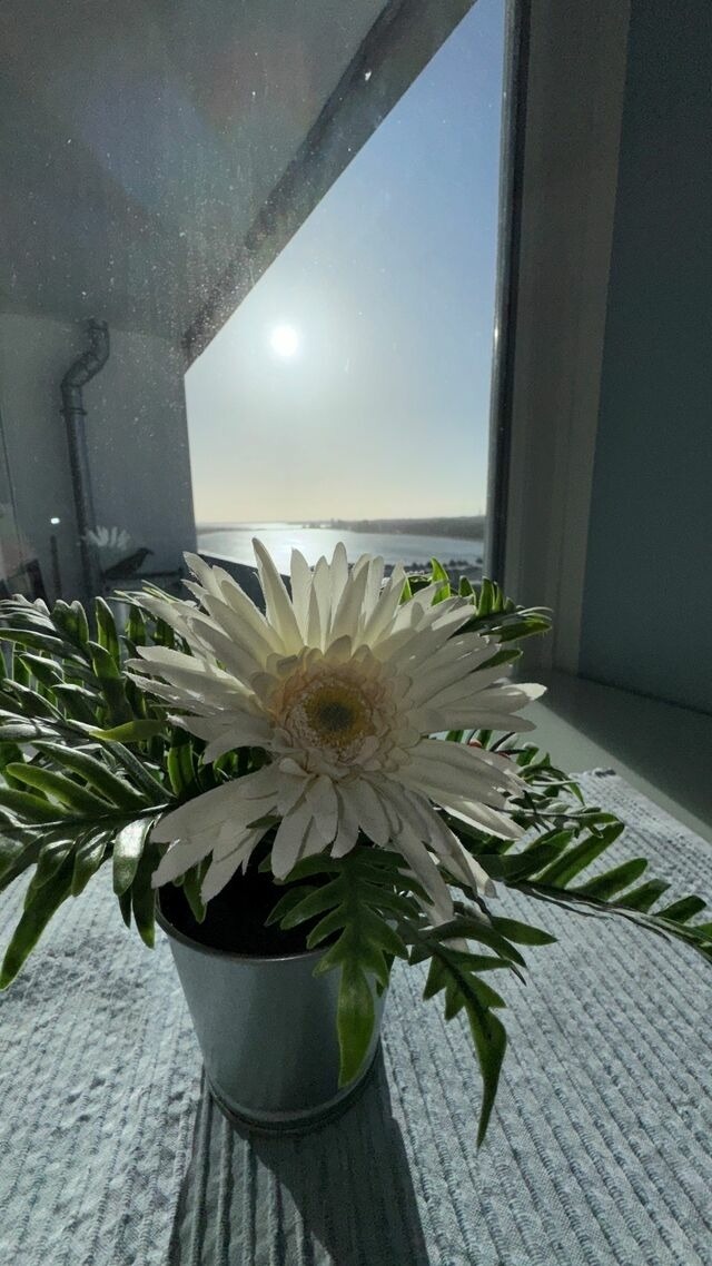 Ferienwohnung in Heiligenhafen - Ferienpark - Haus C, App. 0C1208 - Bild 10