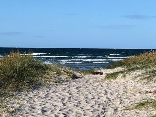 Ferienwohnung in K&auml;gsdorf - Gutshaus von B&uuml;low - 19-02 - Bild 12