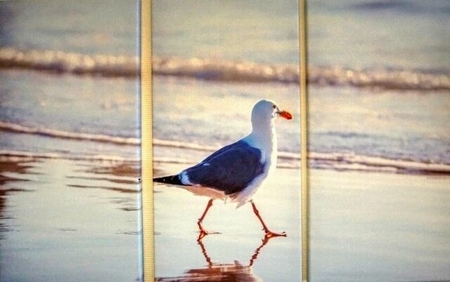 Ferienwohnung in Heiligenhafen - Ferienpark - Haus B, App. 0B0404 - Bild 12