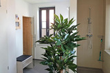 Ferienhaus in Heiligenhafen - Michels Kate - Bild 11